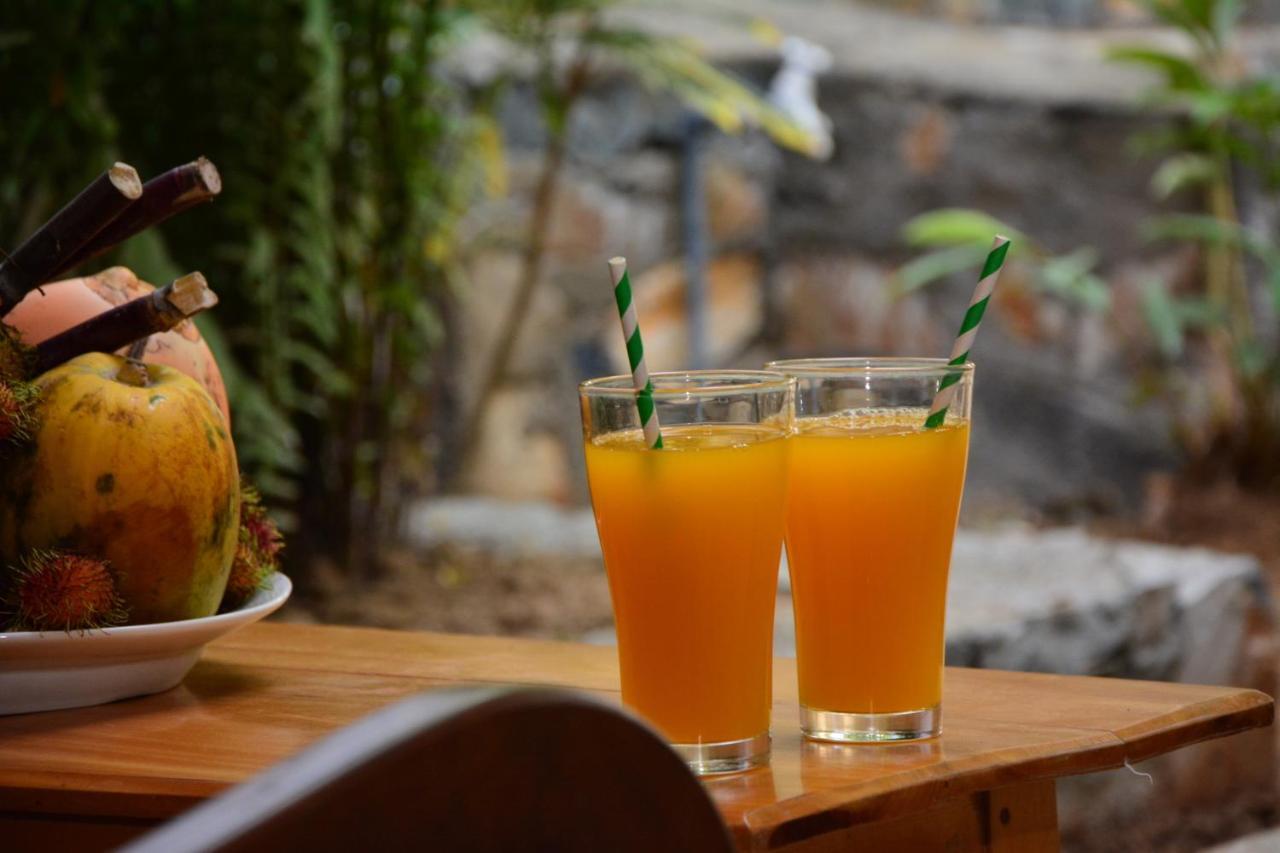 View Guesthouse & Bistro At Goyambokka Tangalle Kültér fotó