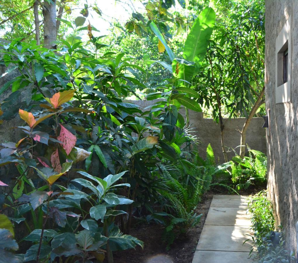 View Guesthouse & Bistro At Goyambokka Tangalle Kültér fotó